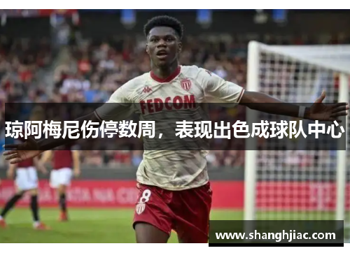 琼阿梅尼伤停数周，表现出色成球队中心
